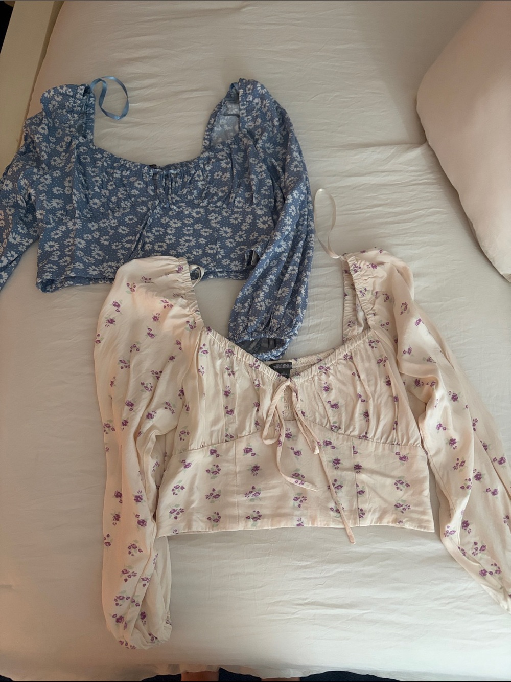 wild fable Floral Puff-Sleeve Crop Tops - Blue & Cream